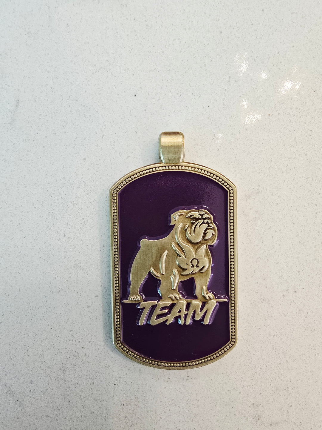 Dog Team Tag